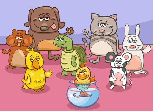 Imagen 1