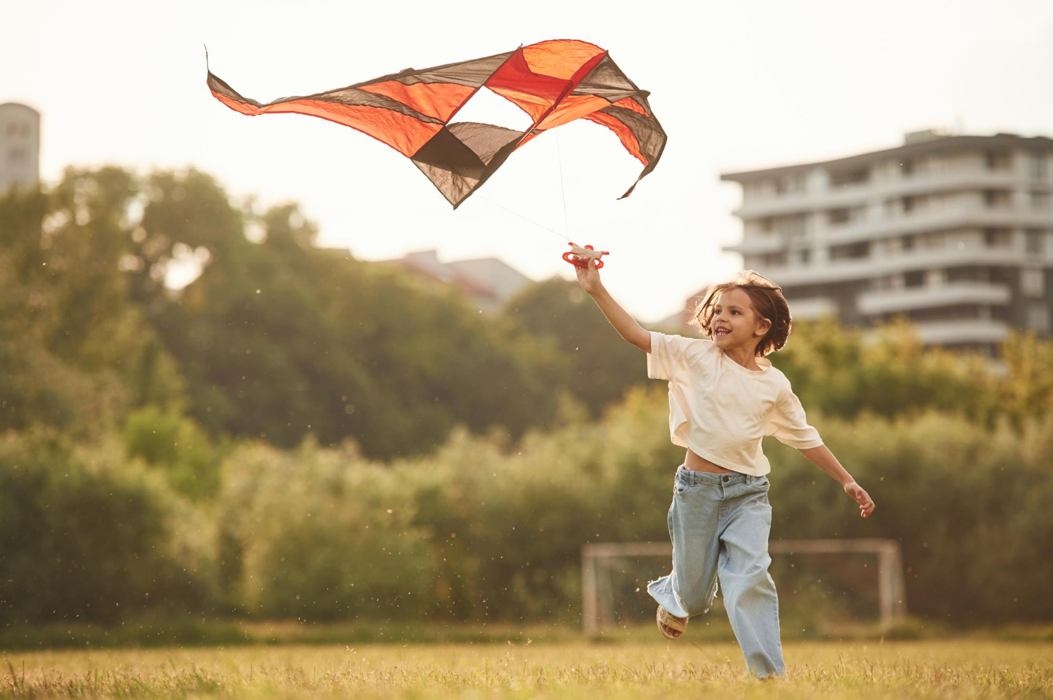 Puzzle Jugando con la cometa