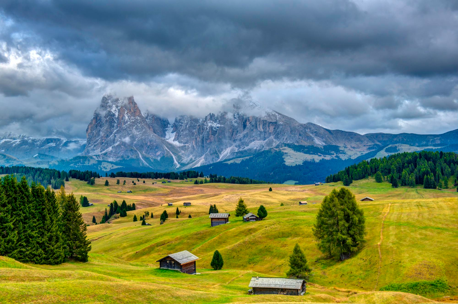 Puzzle Campo y montañas