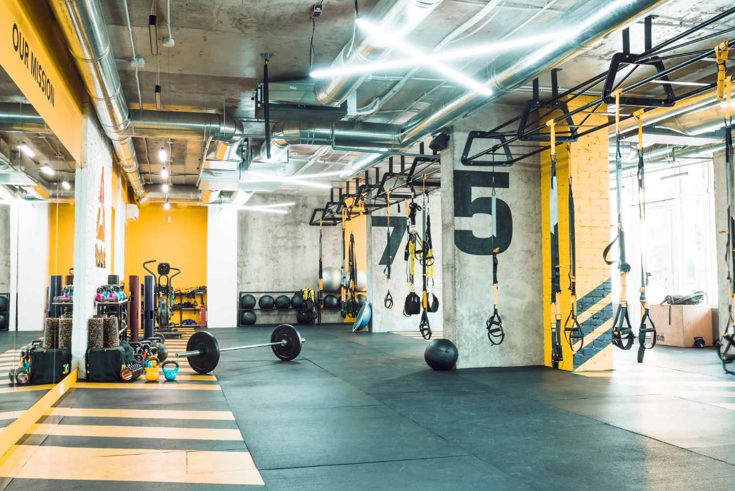 Puzzle Gimnasio