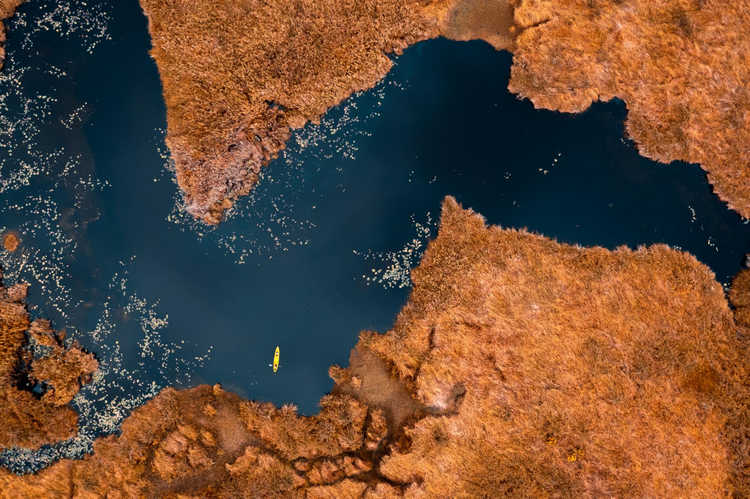Puzzle Vista aérea río y pradera