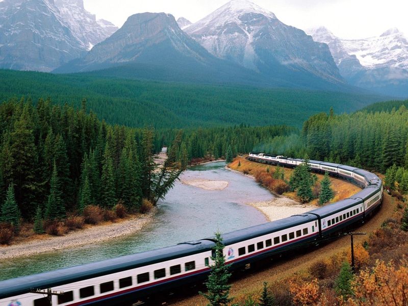 Puzzle Tren en el bosque