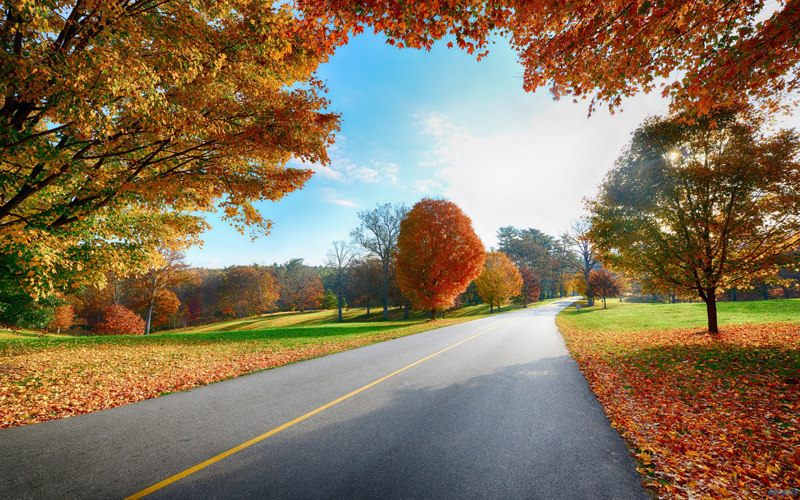 Puzzle Carretera en otoño