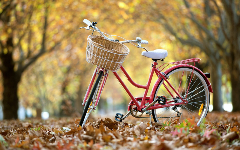 Puzzle Bicicleta hojas otoño