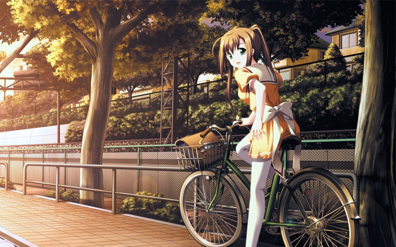 Puzzle Chica en bici Anime