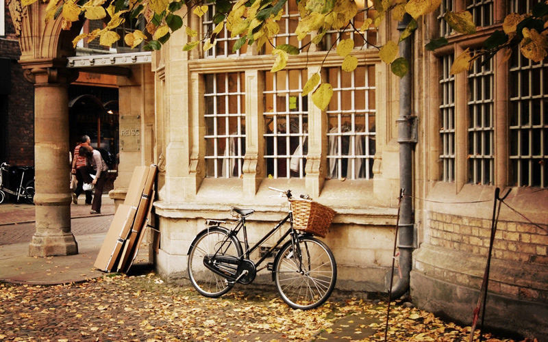 Puzzle Bicicleta con cesta