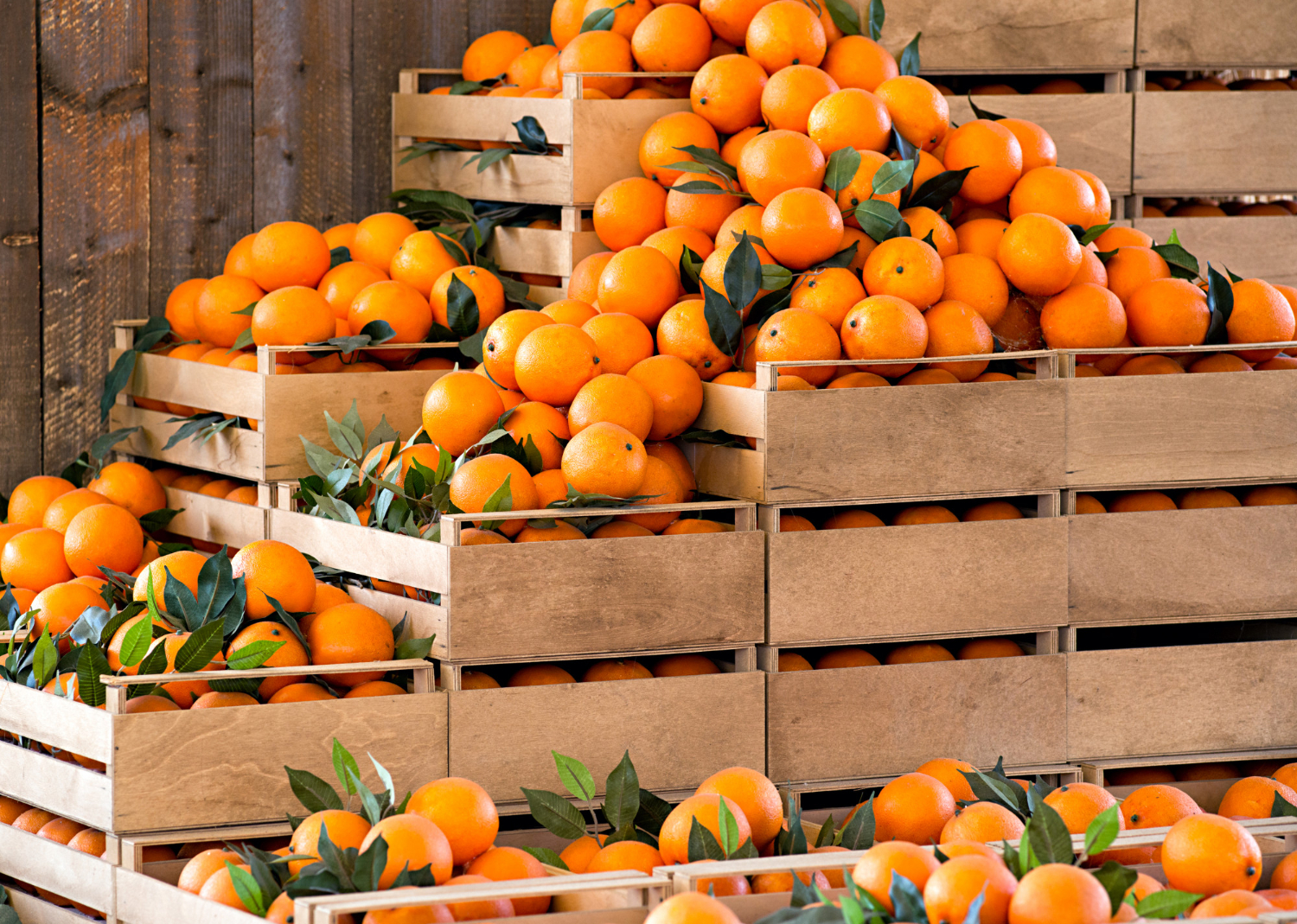 Puzzle Cajas de naranjas