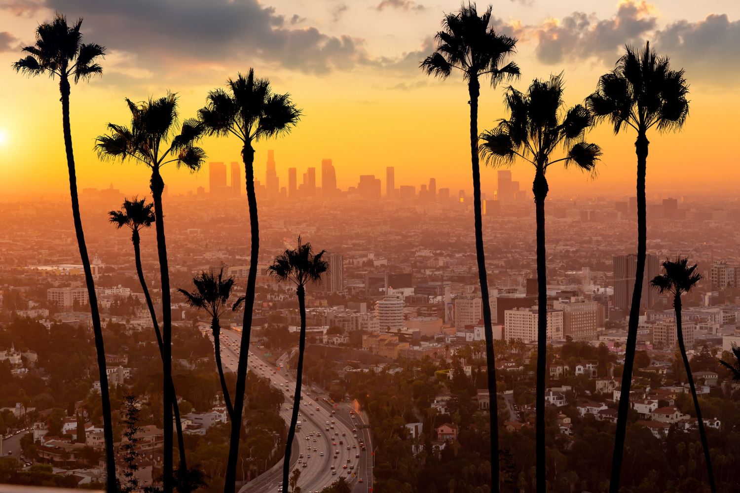 Puzzle Los Angeles