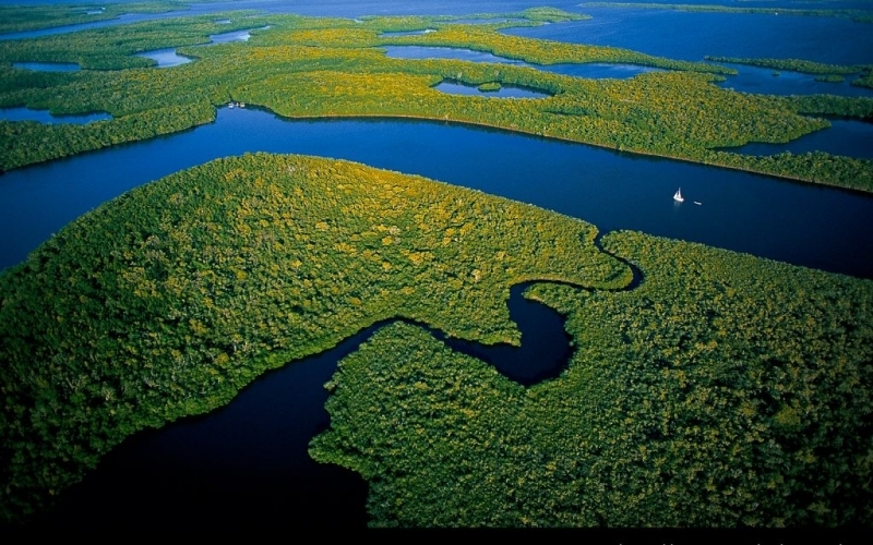 Puzzle Amazonas