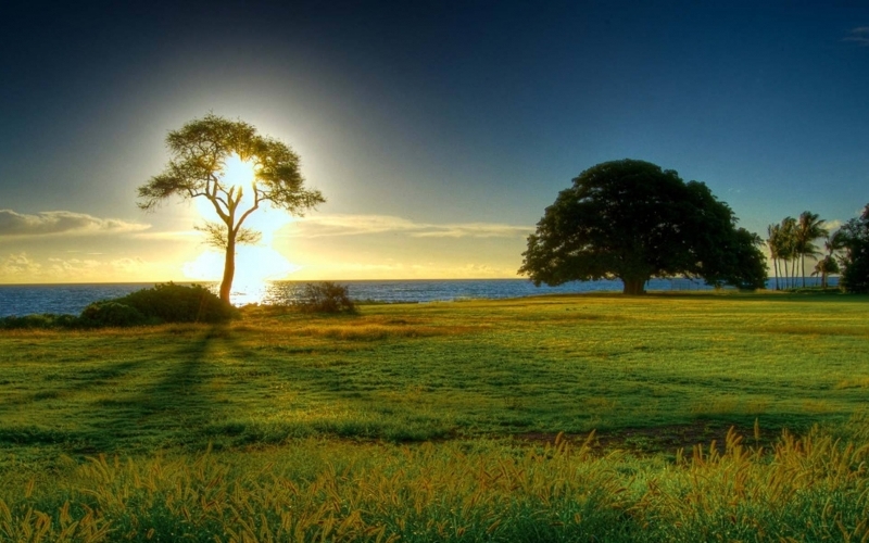 Puzzle Atardecer