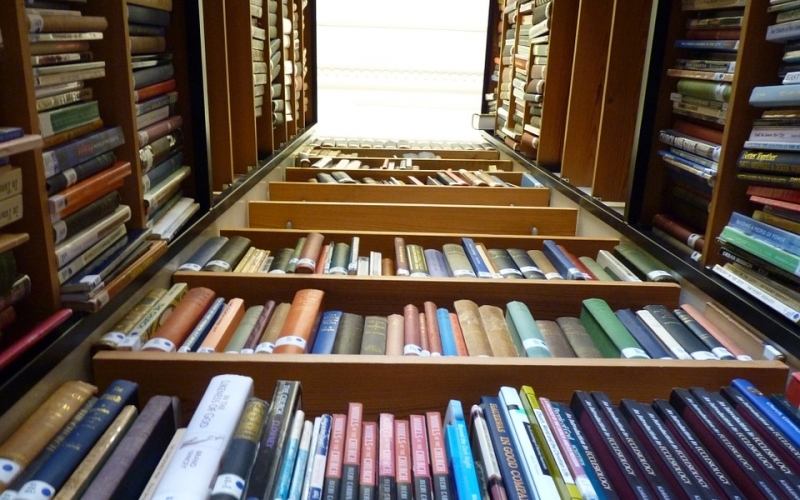 Puzzle Biblioteca