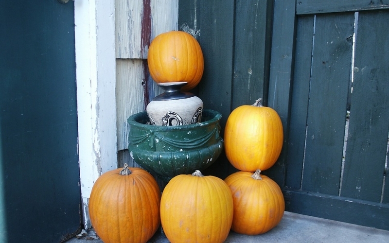 Puzzle Calabazas