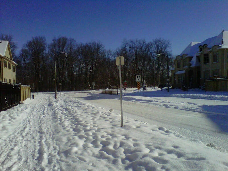 Puzzle Nieve en la calle