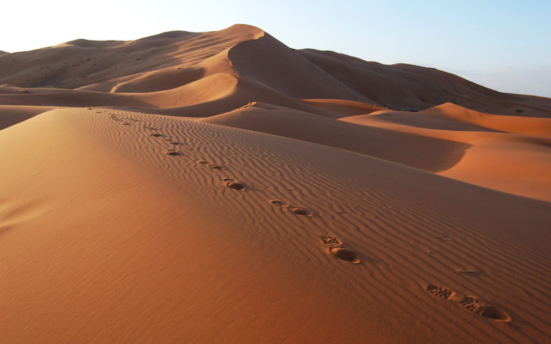 Puzzle Desierto del Sahara