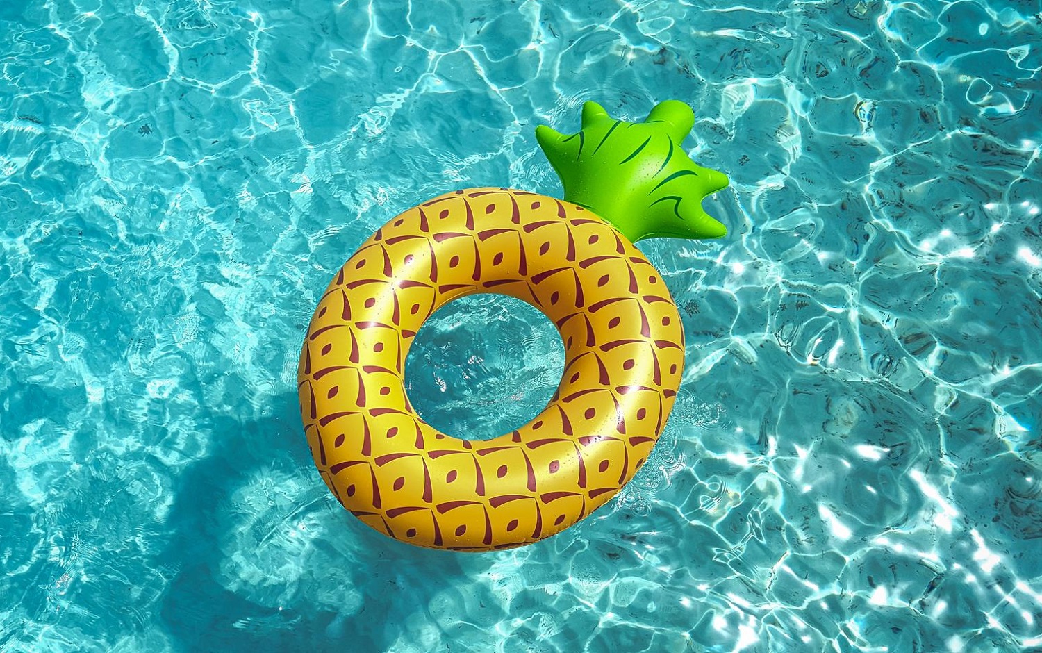 Puzzle Flotador en la piscina