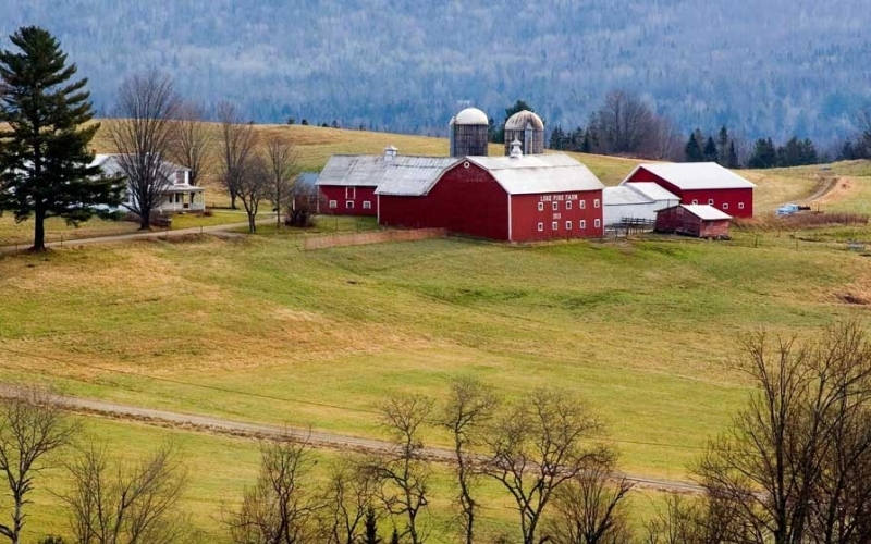 Puzzle Granja de Canadá