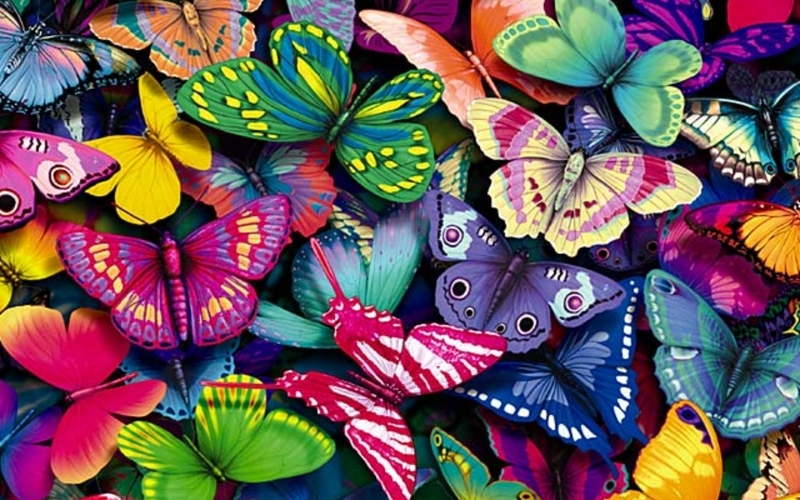 Puzzle Mariposas de colores