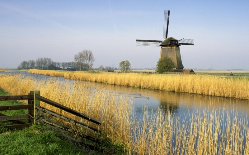 Puzzle Molino en Holanda