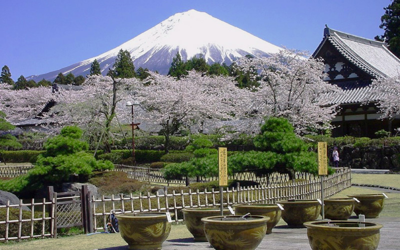 Puzzle Monte Fujiyama