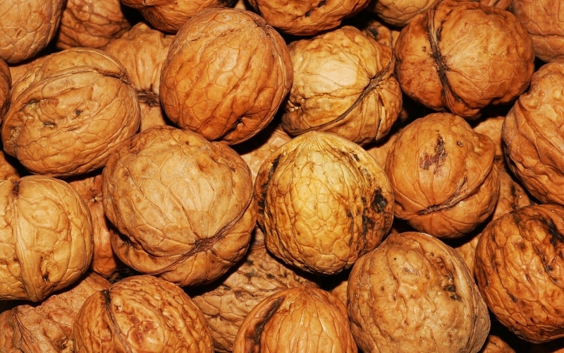 Puzzle Nueces