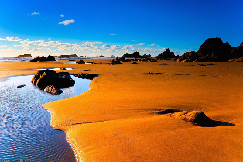 Puzzle Playa de rocas