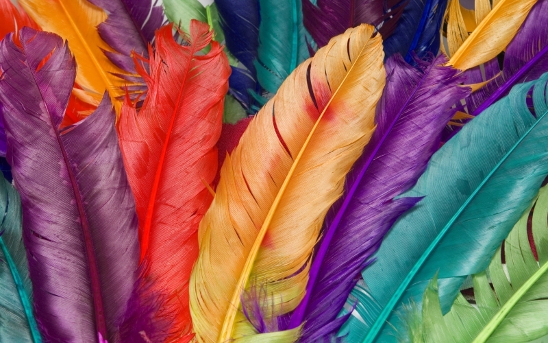 Puzzle Plumas de colores