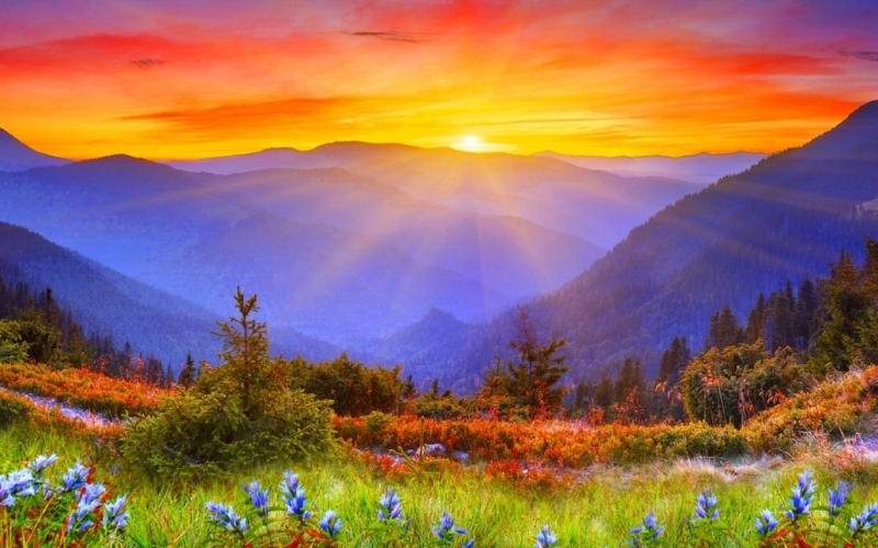 Puzzle Rayos de sol