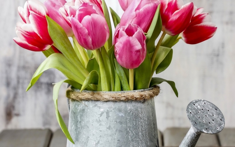 Puzzle Regadera con flores